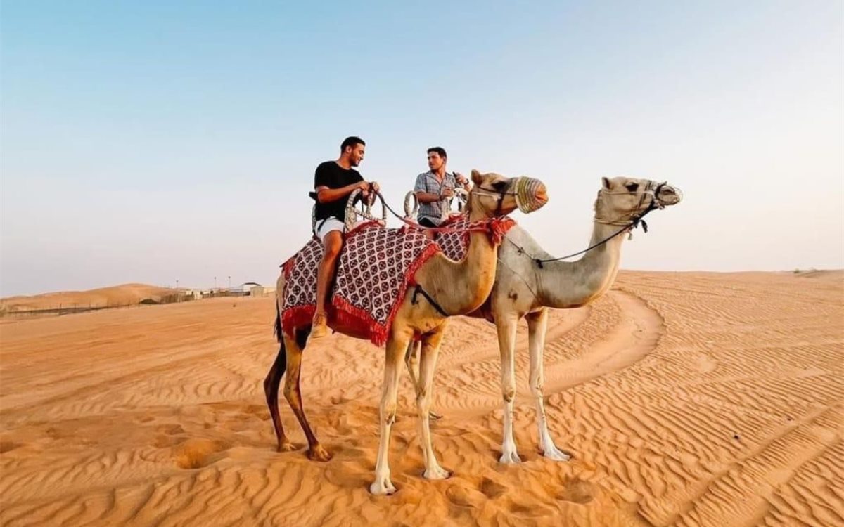Camel ride through desert at golden hour